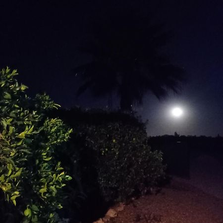 La Buganvilla, Descanso Entre Olivares ออร์นาชวยโลส ภายนอก รูปภาพ
