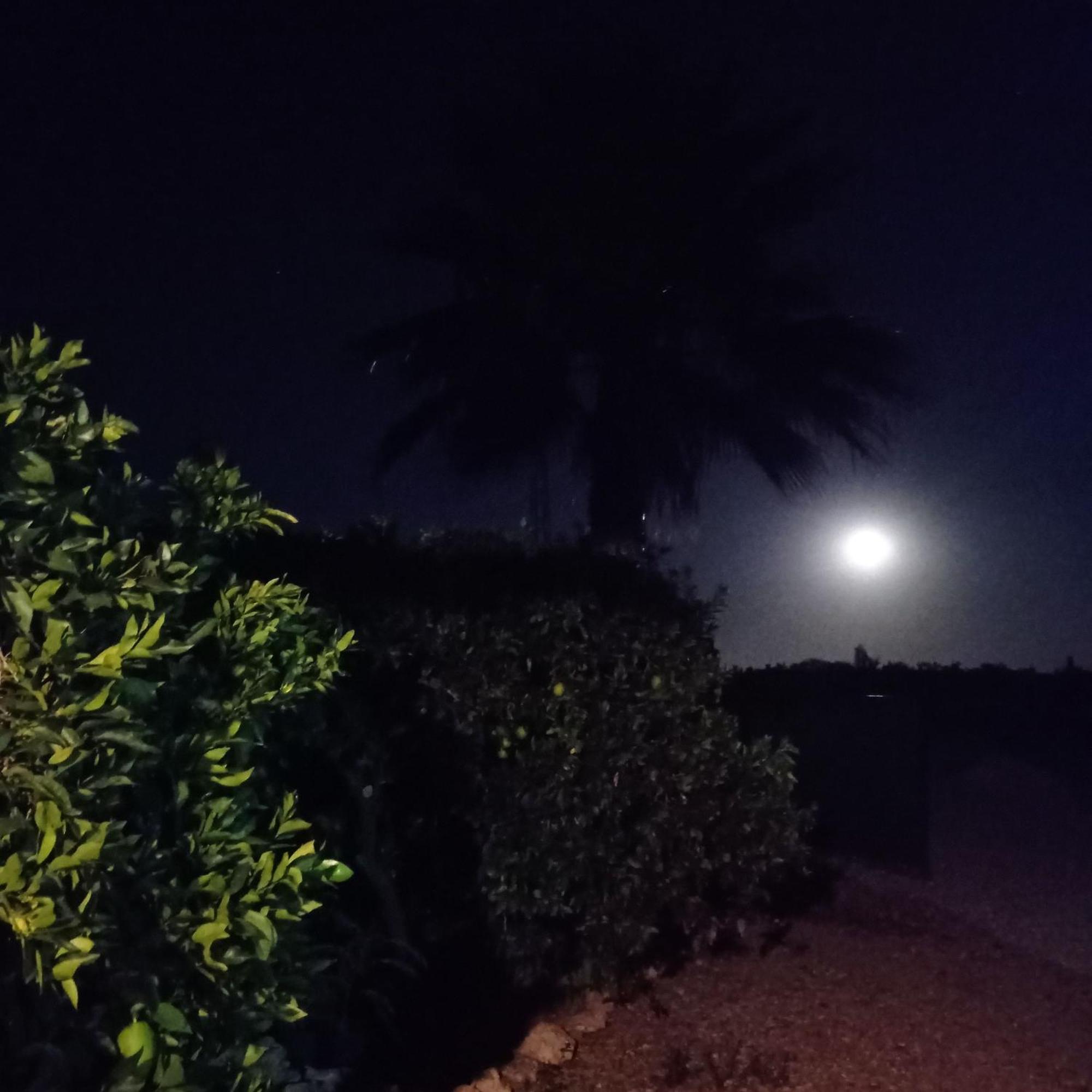 La Buganvilla, Descanso Entre Olivares ออร์นาชวยโลส ภายนอก รูปภาพ