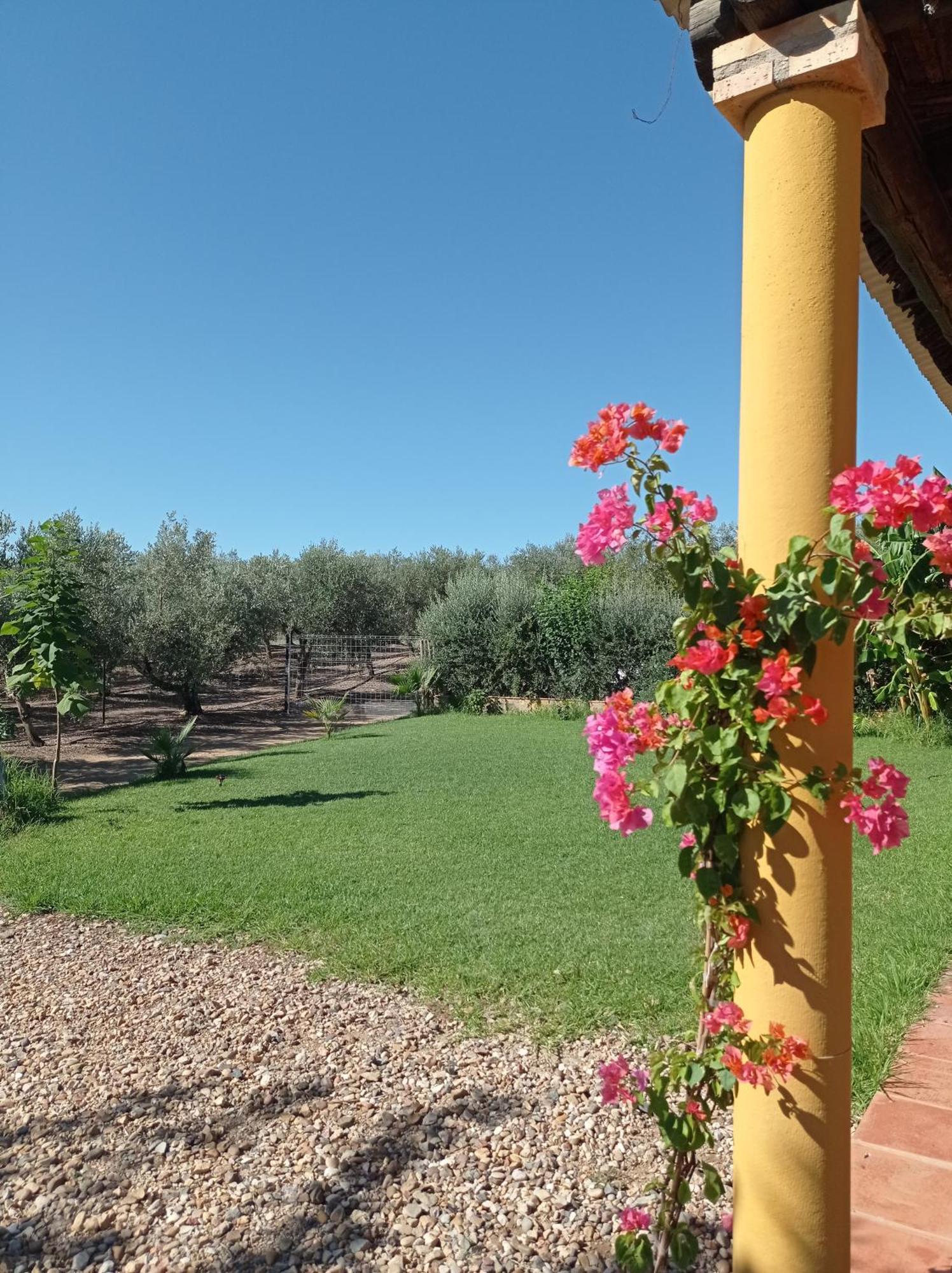 La Buganvilla, Descanso Entre Olivares ออร์นาชวยโลส ภายนอก รูปภาพ