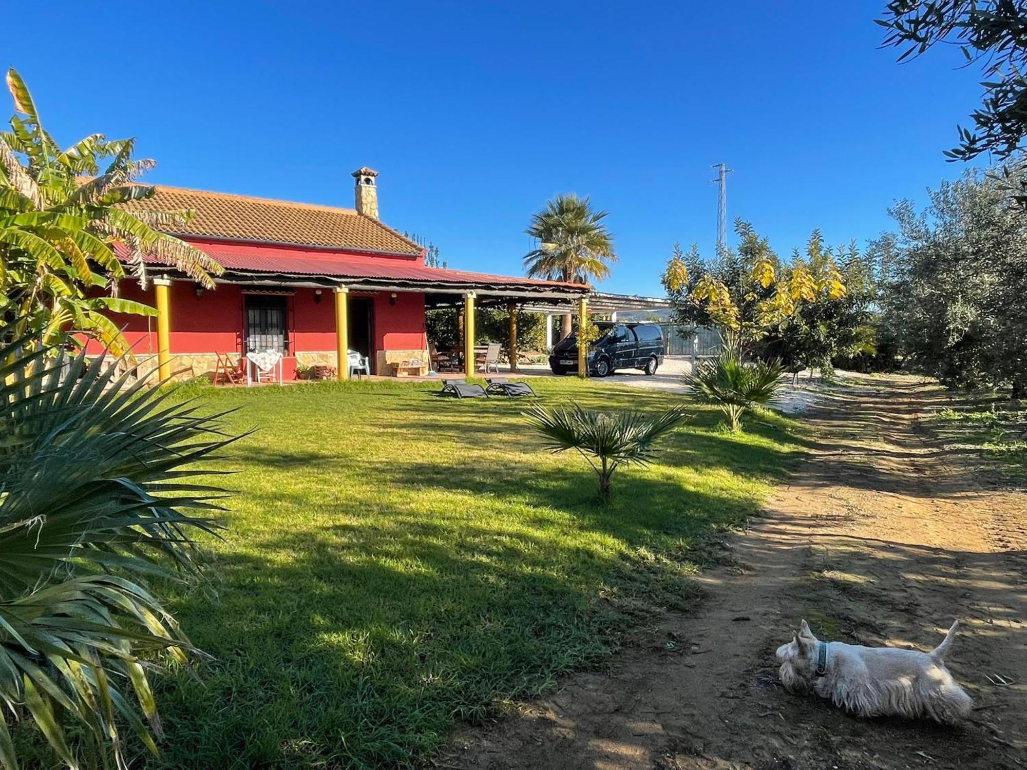 La Buganvilla, Descanso Entre Olivares ออร์นาชวยโลส ภายนอก รูปภาพ